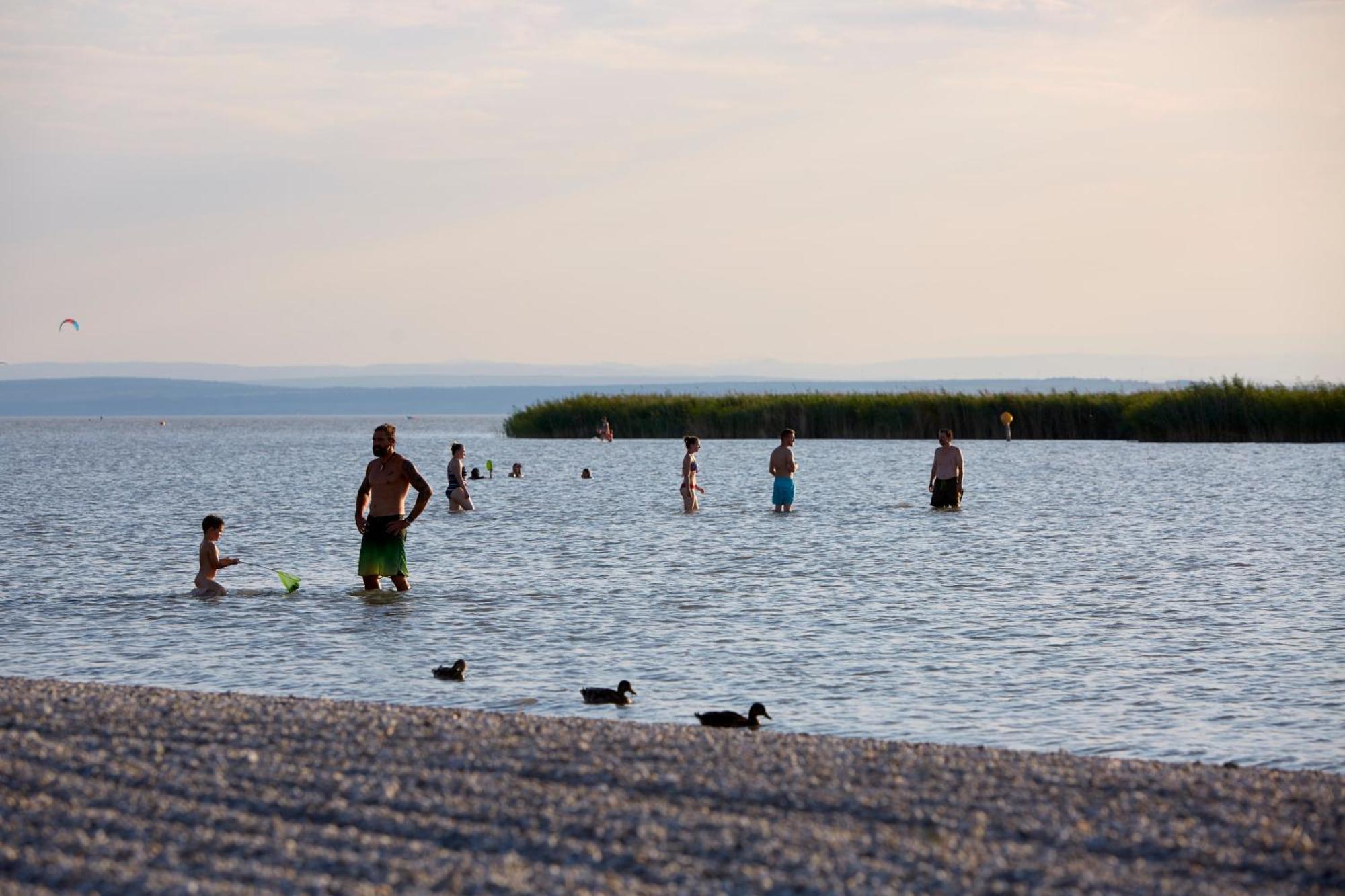 Seewirt & Haus Attila Podersdorf am See Eksteriør bilde