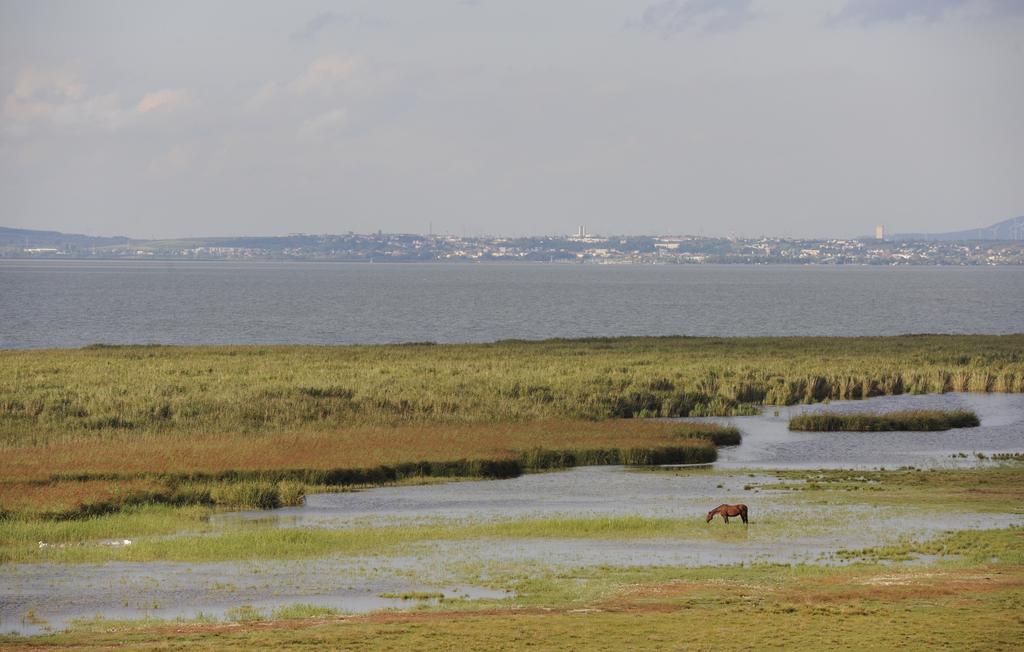 Seewirt & Haus Attila Podersdorf am See Eksteriør bilde